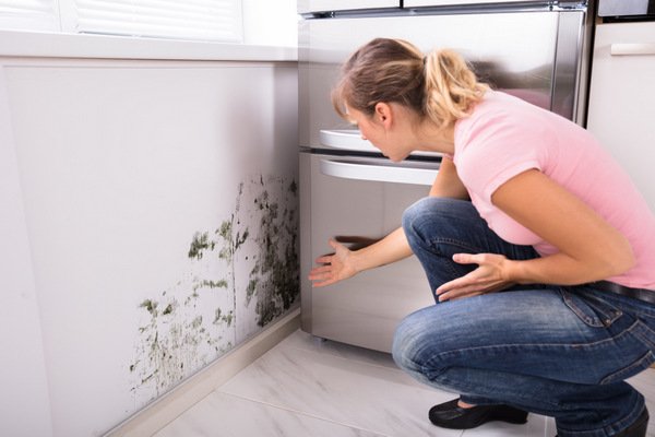 How To Remove Mould Naturally Our Objective Here Is To Provide You With Some Straight Forward And As Importantly Affordable Set Of Steps That Will Ist In Removing Mould Mildew