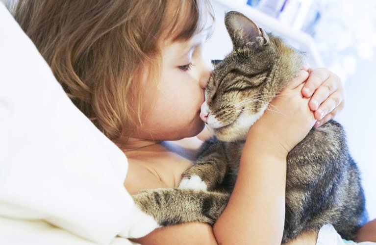 dr mustafa veterinary clinic little girl kissing pet cat