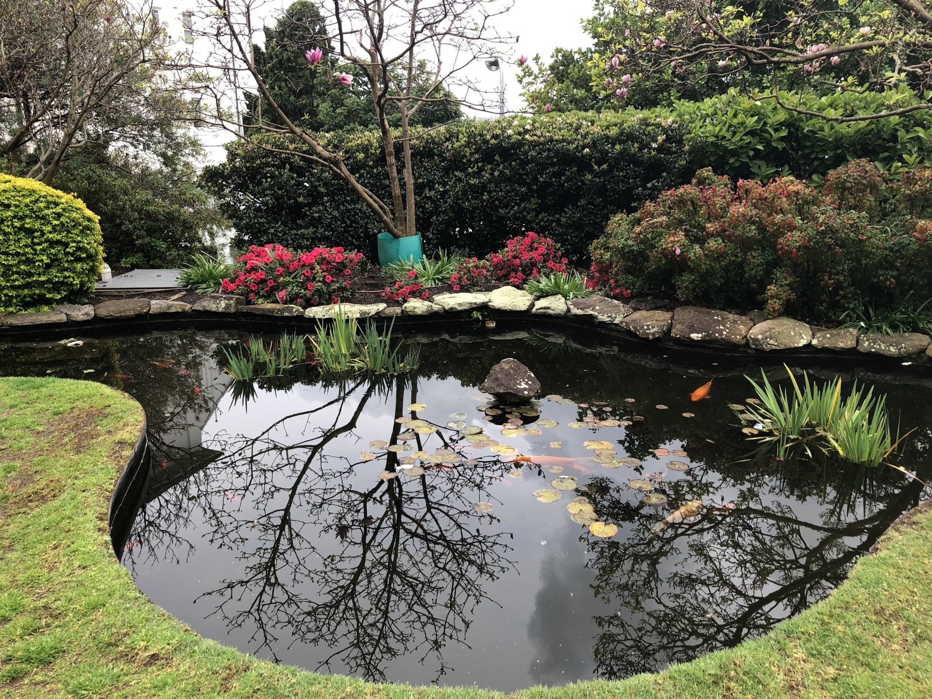 Simple Tips for an Easy Pond Opening R&S Property Service