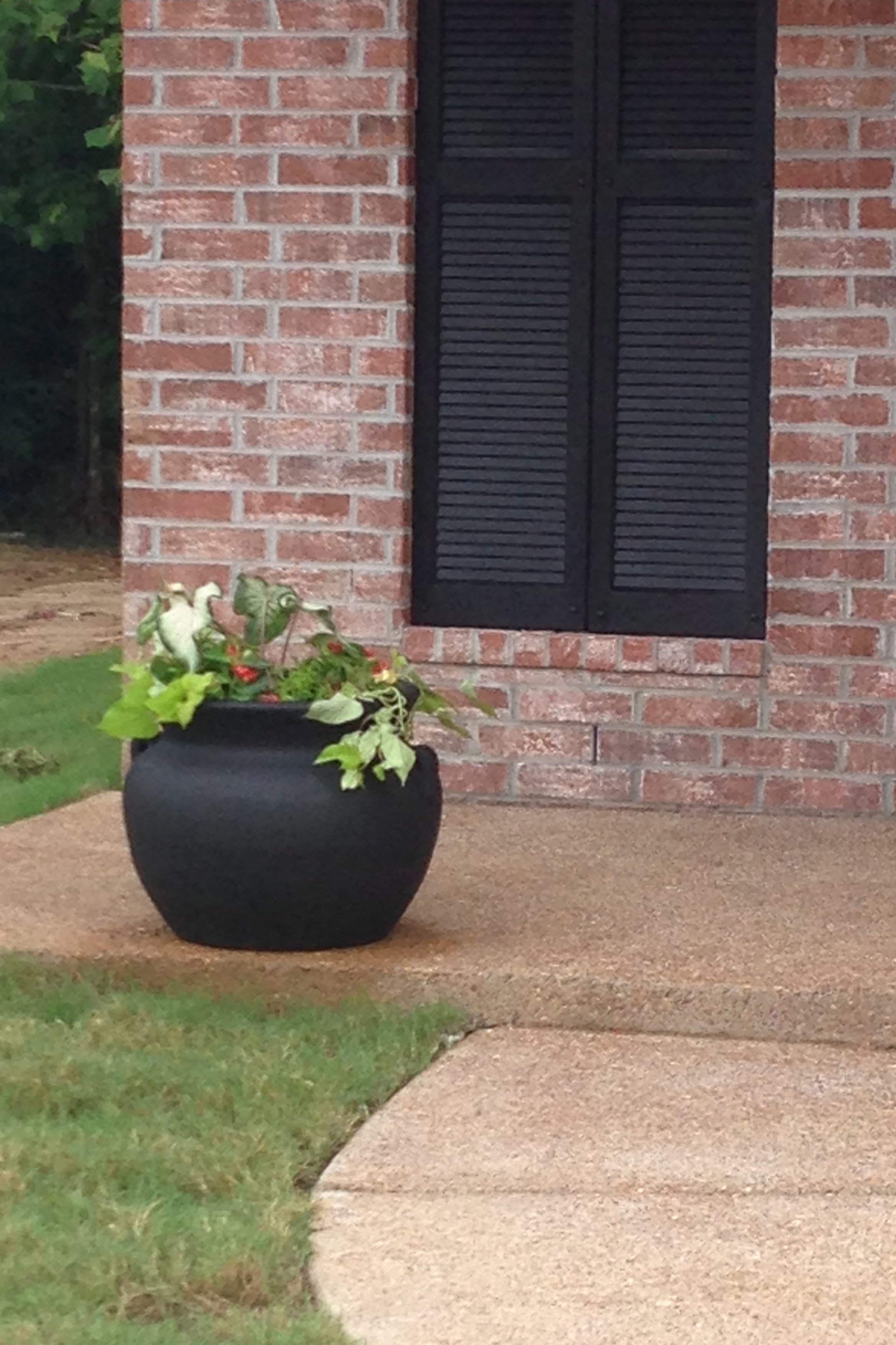 ralph jones home plans