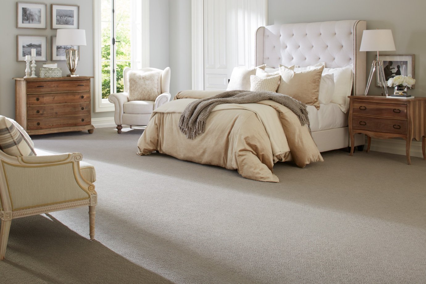 Carpet 101