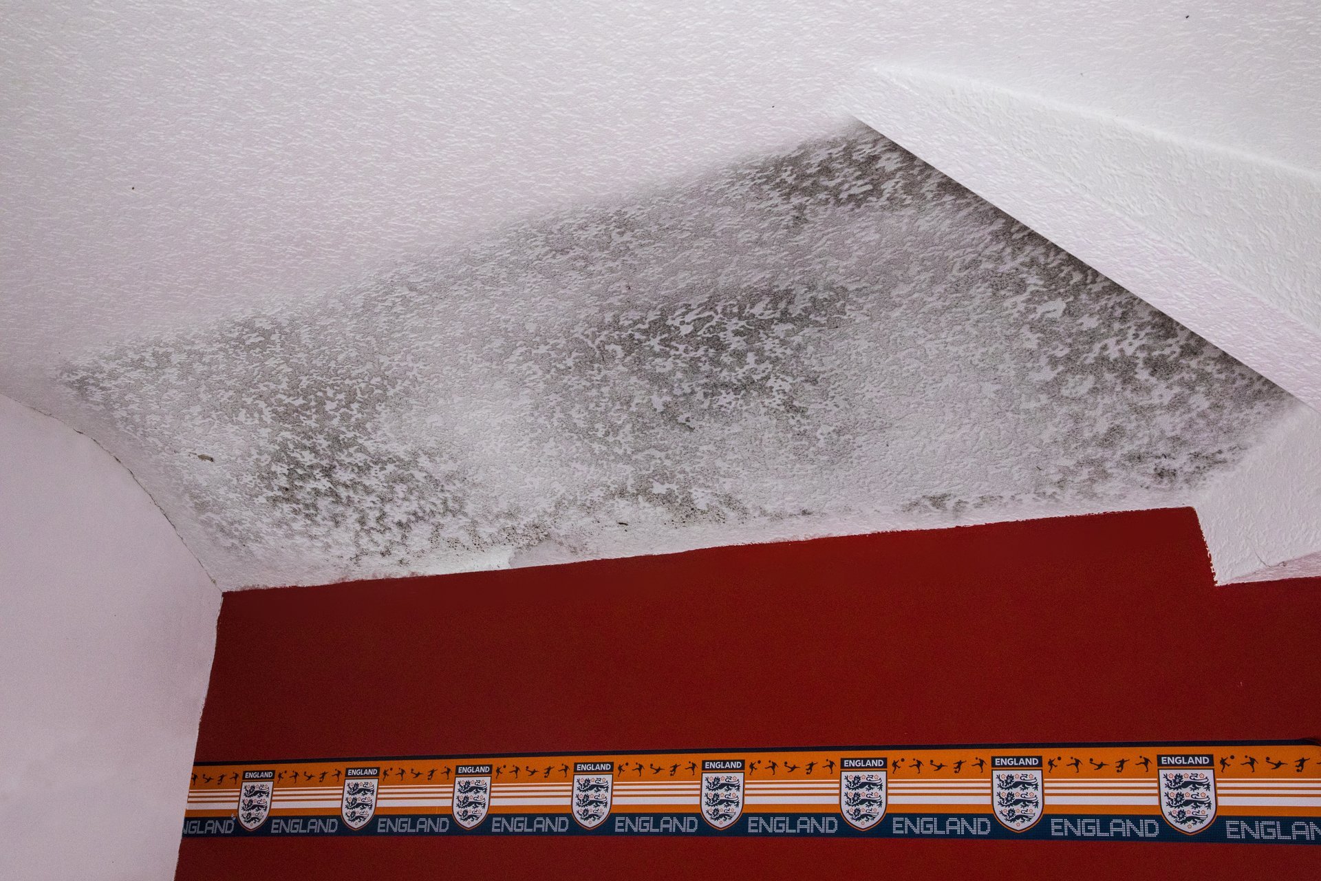 Effective damp proof treatments by Approved Damp Proofing