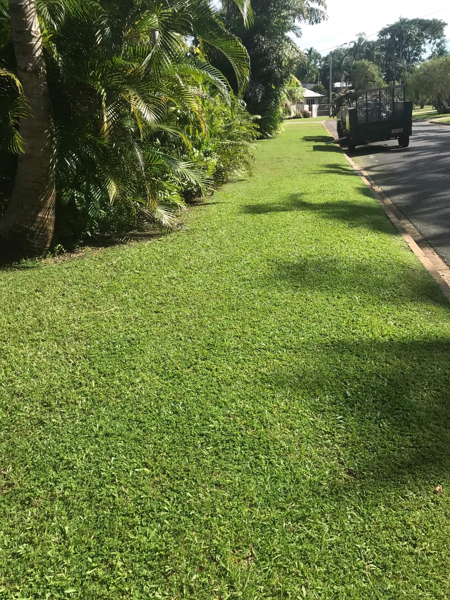 Darwin Mowing Yarrawonga Irrigation Gardeners Home Commercial