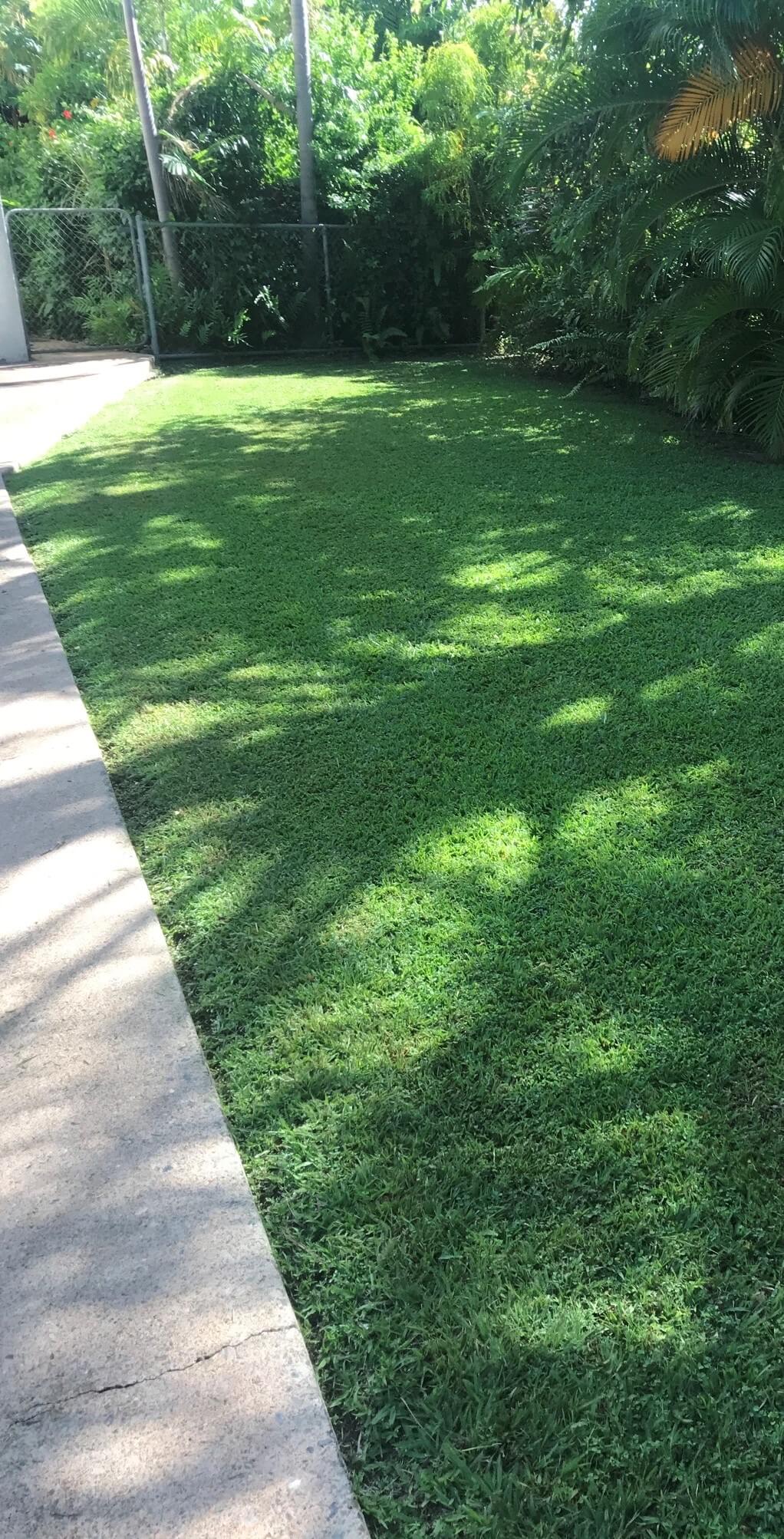 Darwin Mowing Yarrawonga Irrigation Gardeners Home Commercial