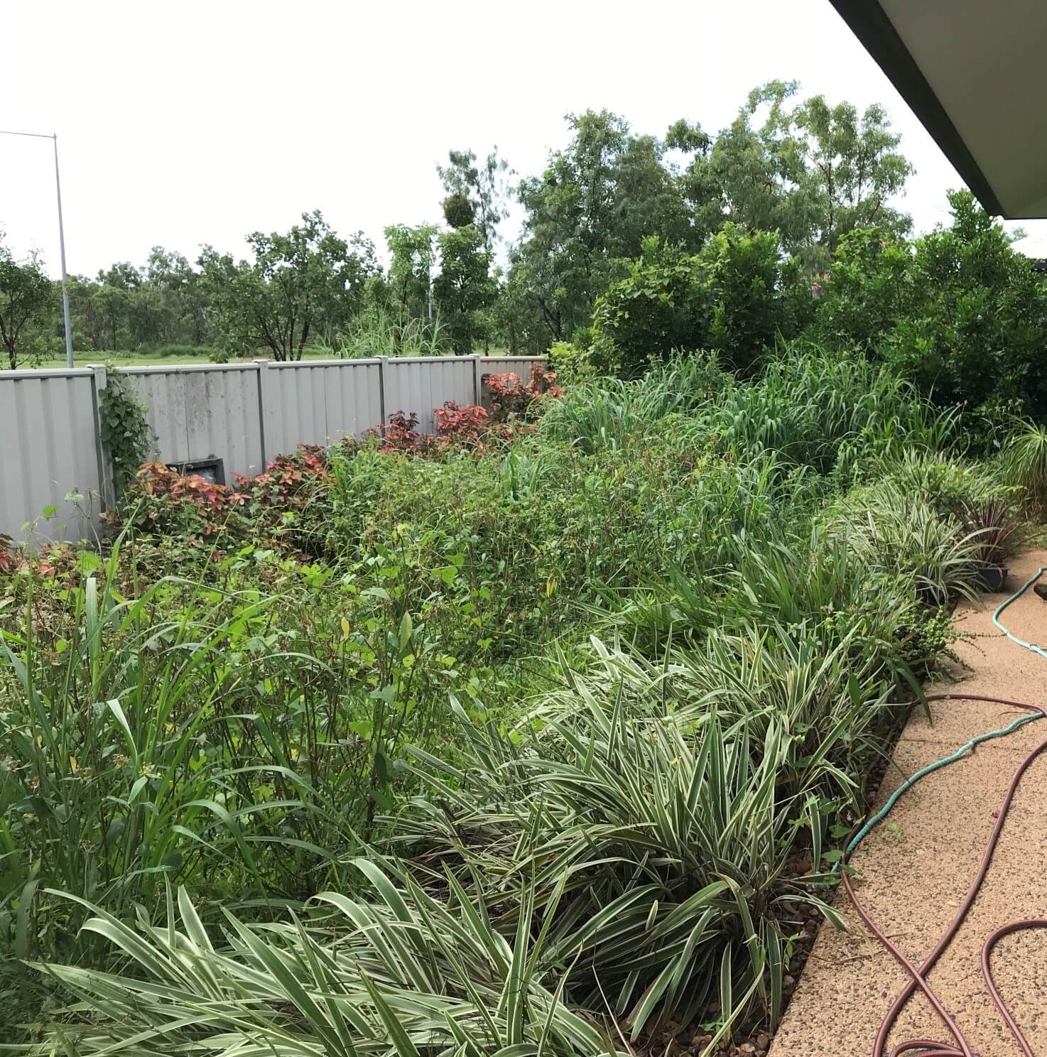 Darwin Mowing Yarrawonga Irrigation Gardeners Home Commercial