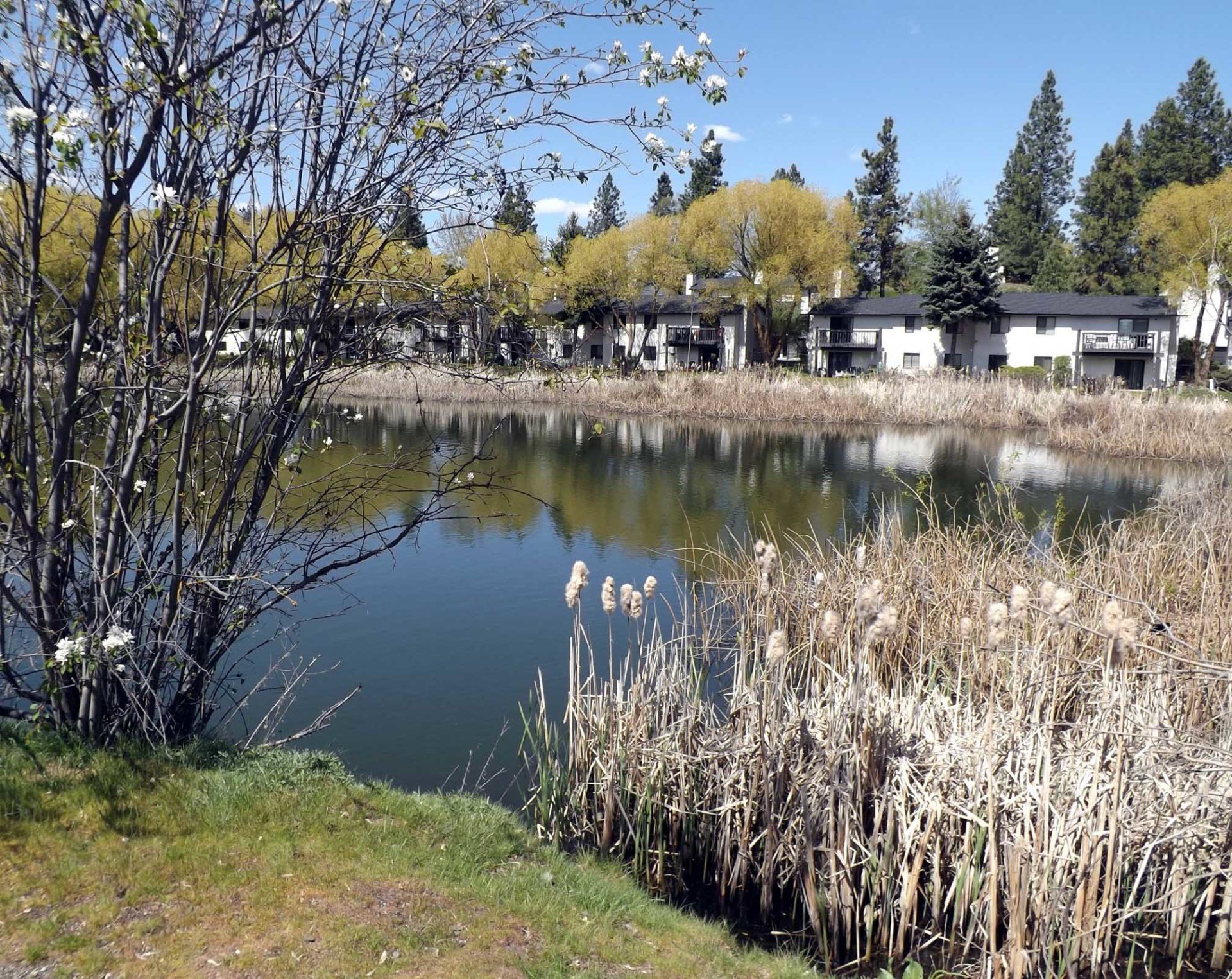 Photo Gallery Rockcliffe Apartments