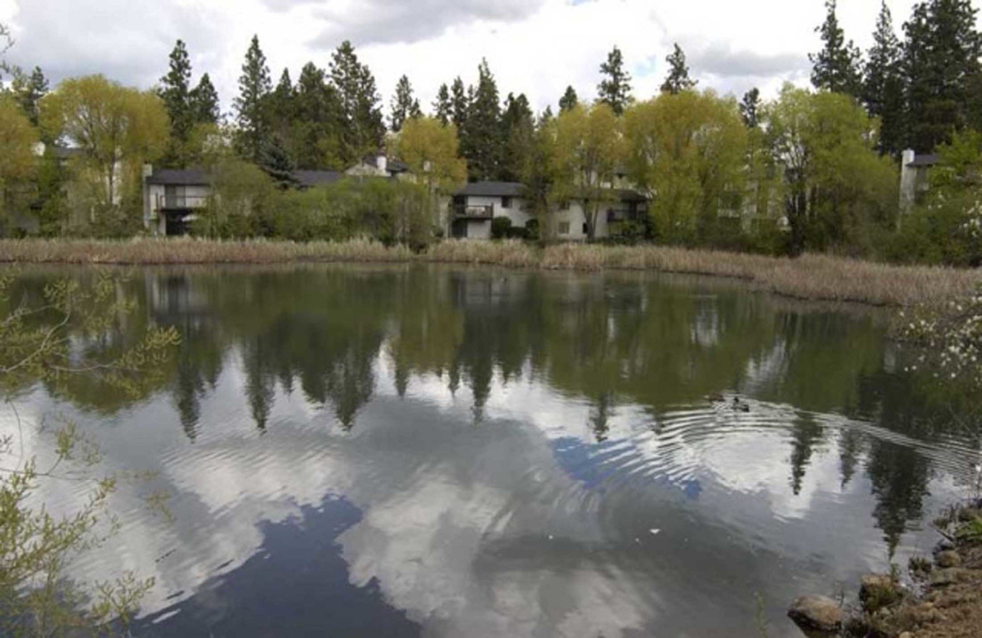 Photo Gallery Rockcliffe Apartments