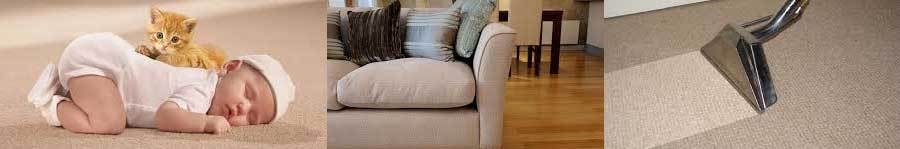 Vacuum cleaning dirt on carpet in Waikato