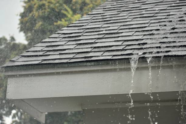 should i buy a house with a roof leak