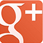 seymour central vets google plus logo