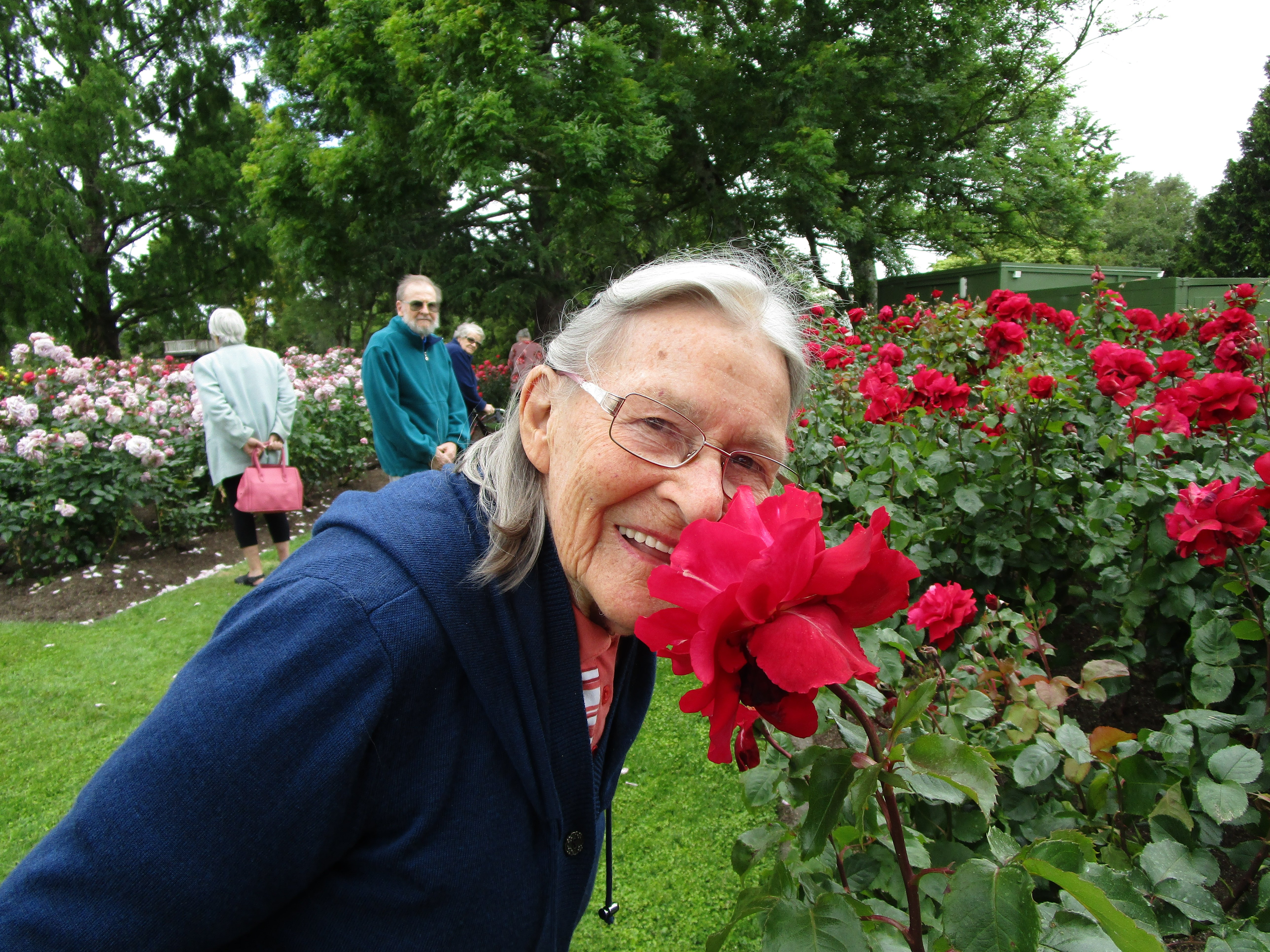 Digital Camera lessons