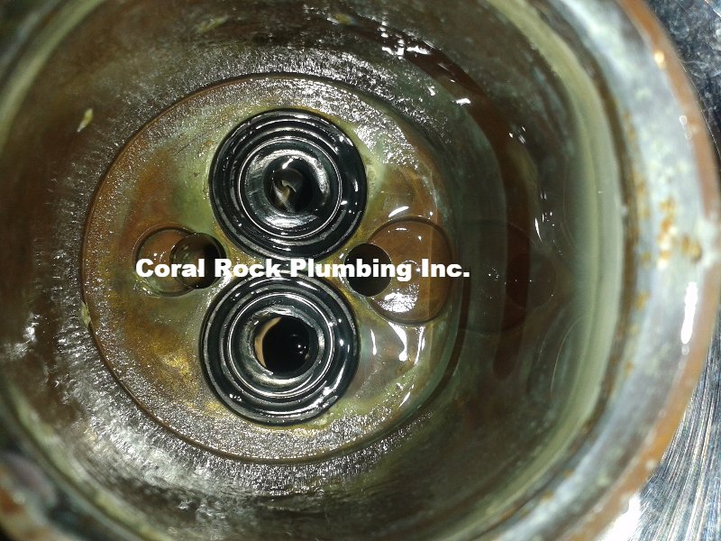 20140620_141846 800x600