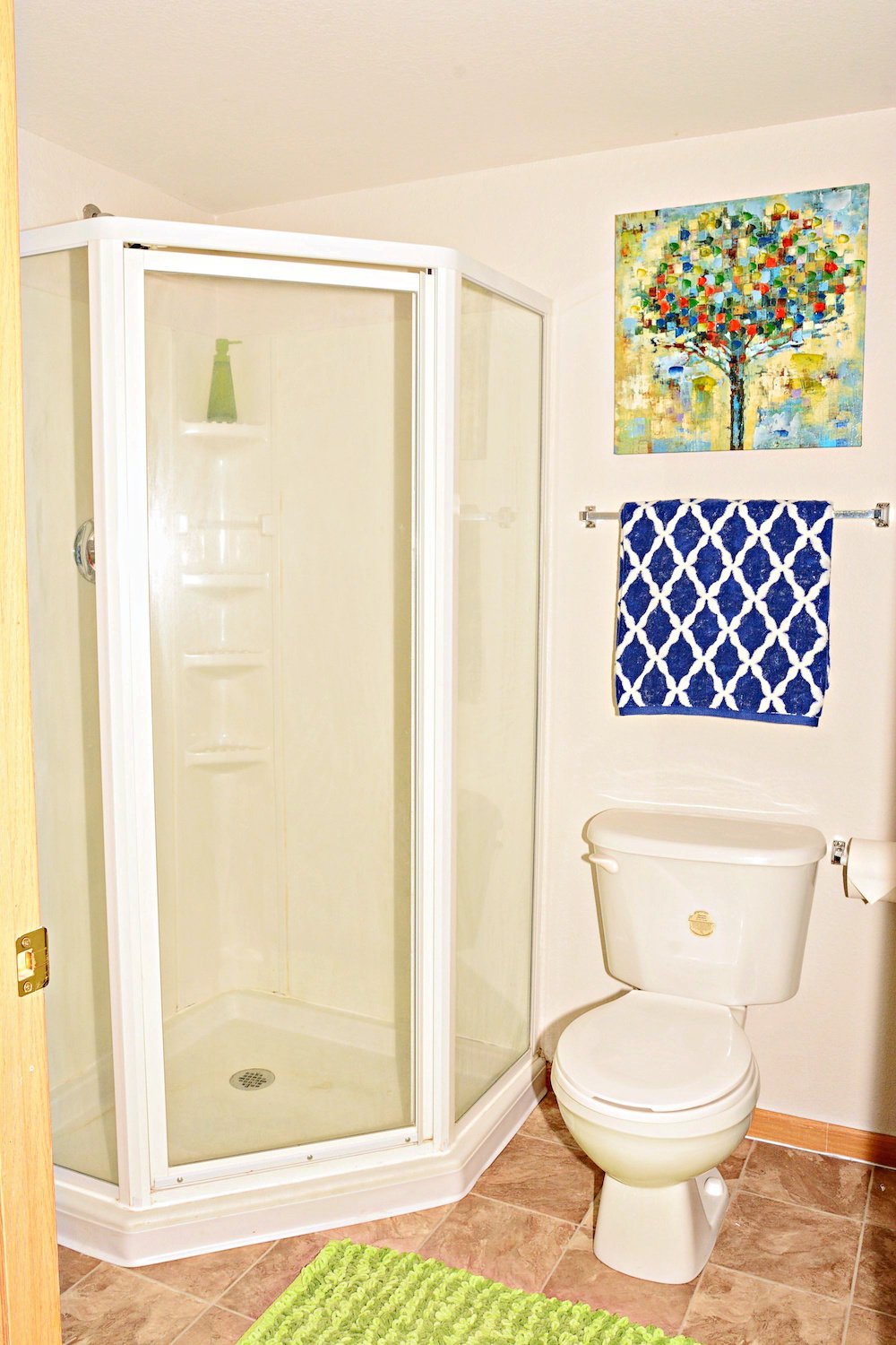 Pine Lake Village Apartments Newaygo, MI