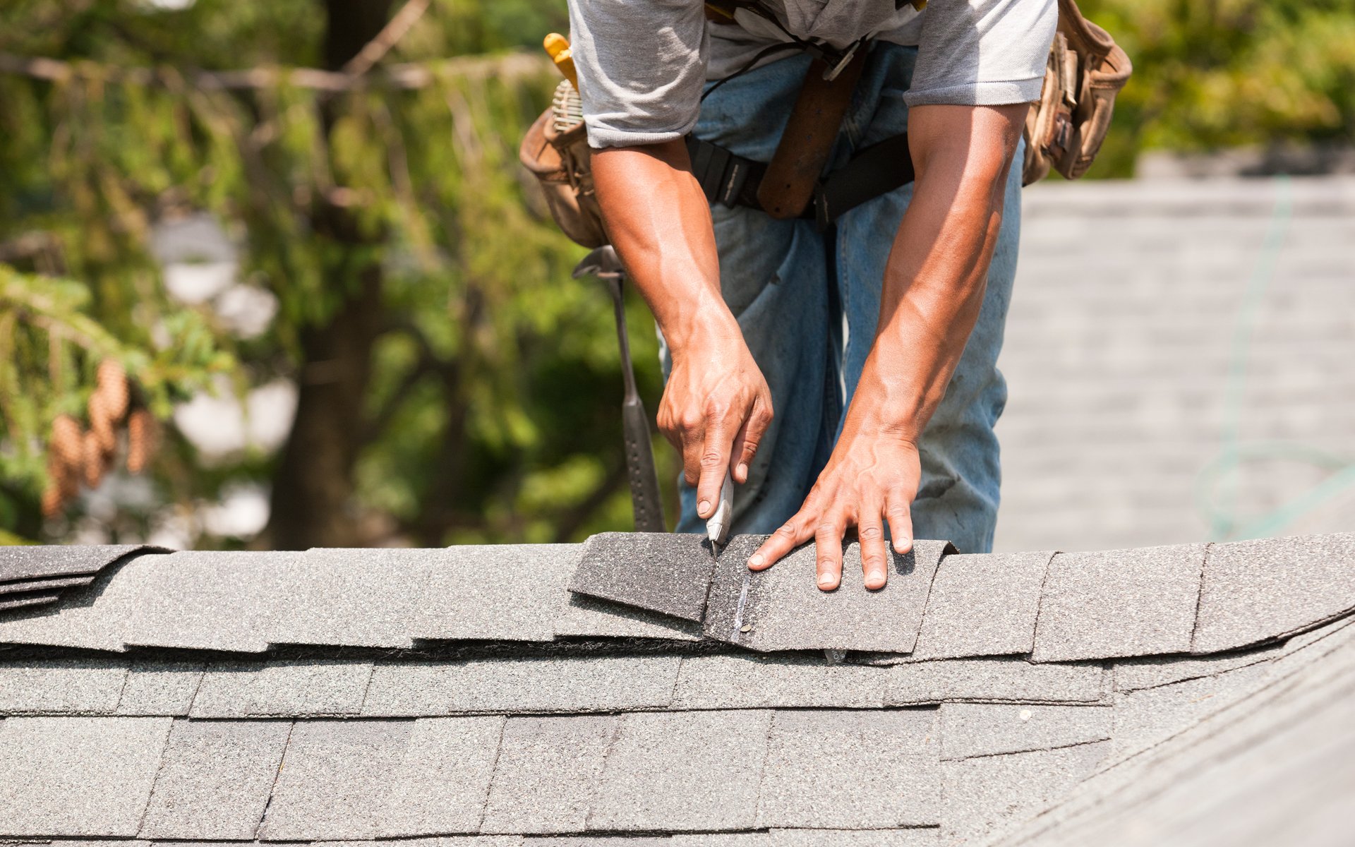 Contact Dragon Roofing Supplies Ltd, Wanborough