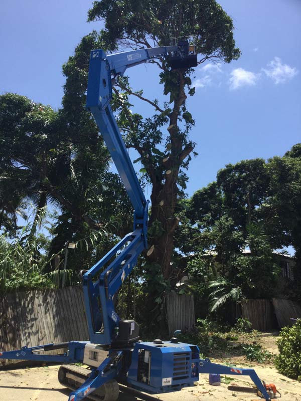 tall blue crane lift