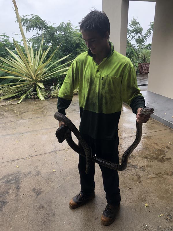 arborist holding snake