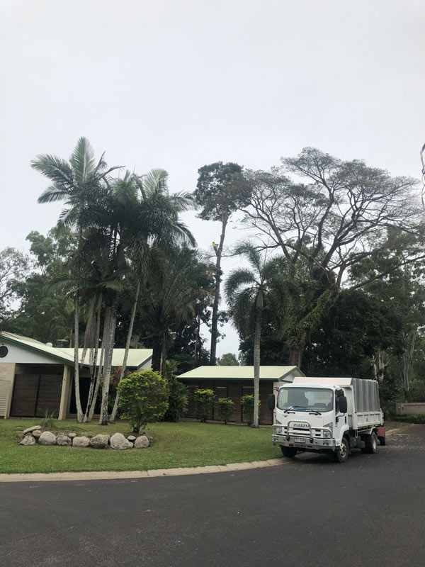 arborist white truck