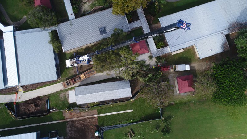 tree cutting operation