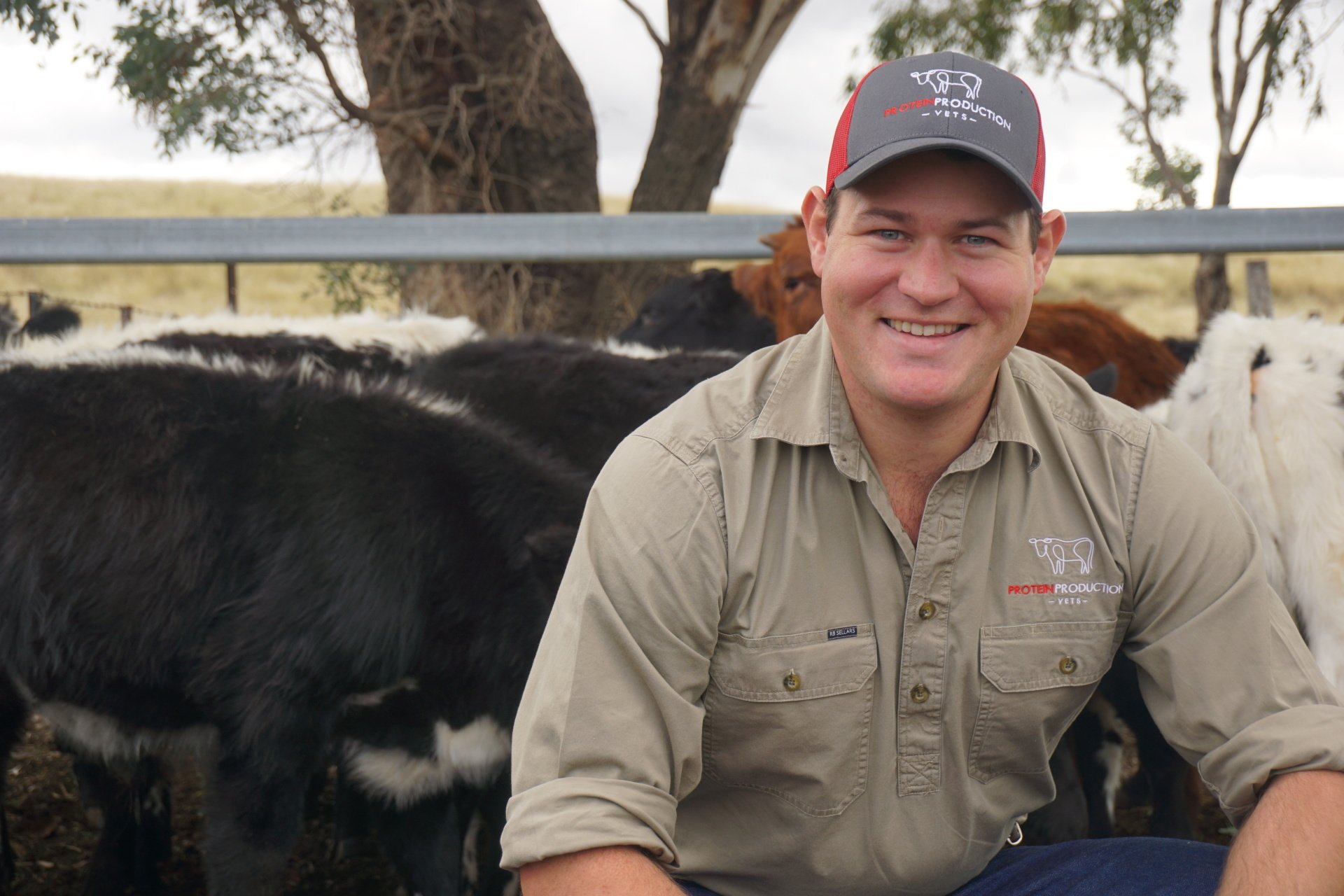 Protein Production Vets Services