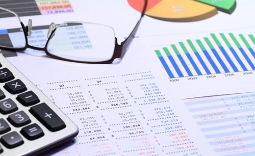 Financial reports of a company prepared by the professionals