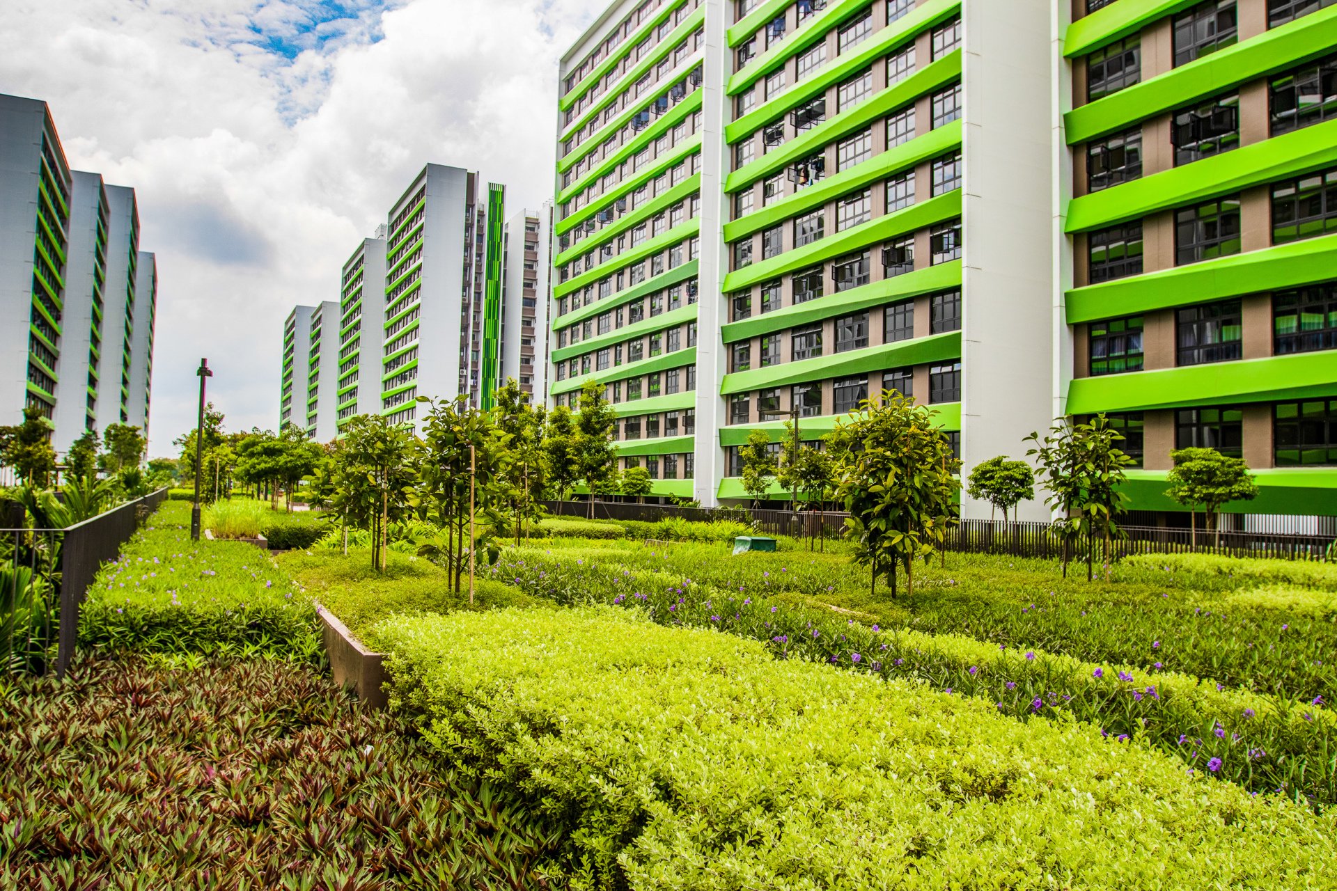 Nature Landscape Portfolio Tampines GreenRidges