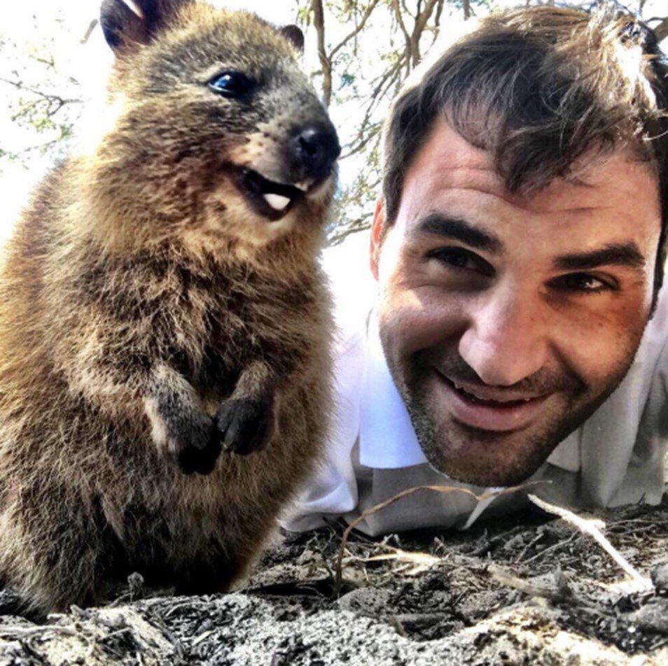Roger Federer with Quokka