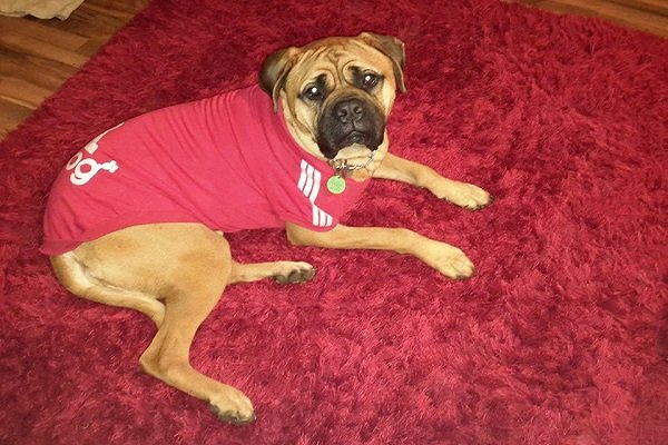 Building Testimonial from Natalie Avery, New Plymouth