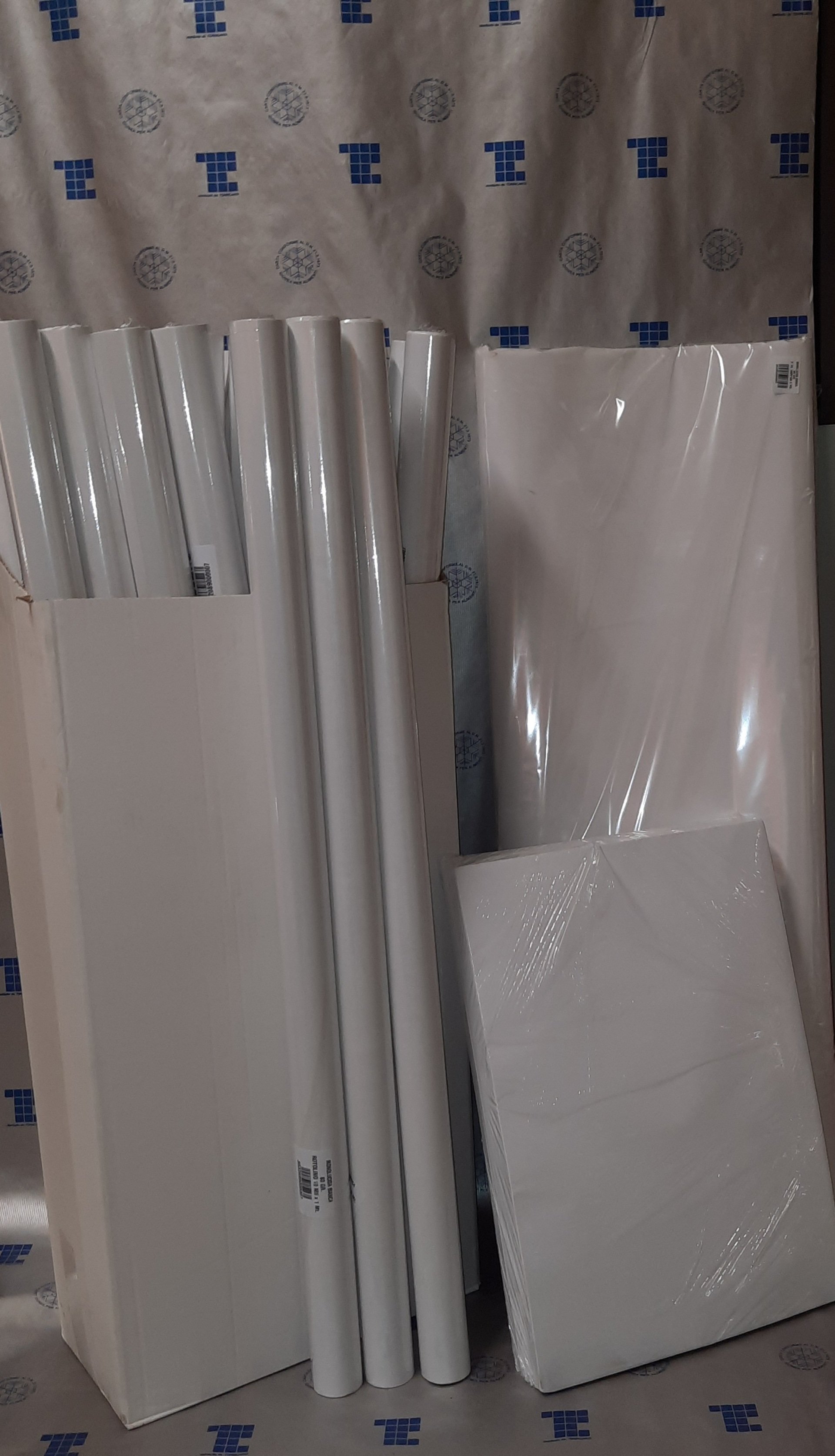 BLOOMING - Carta Da Seminata, 50 Fogli Da Pianta, Formato A4, 150 G/m2 - Foto 5