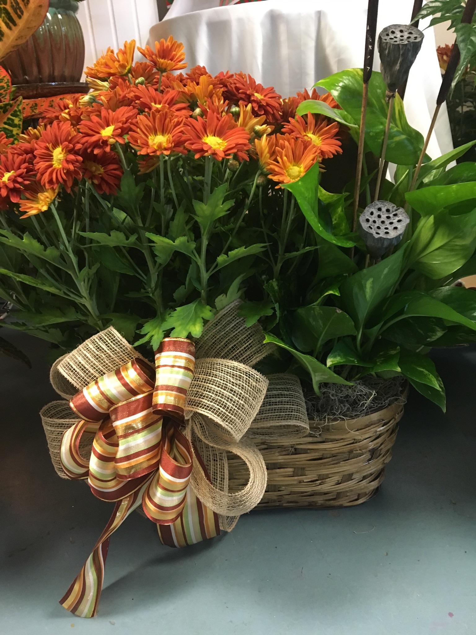 Wilson Flowers & Market Wilson, NC Plants