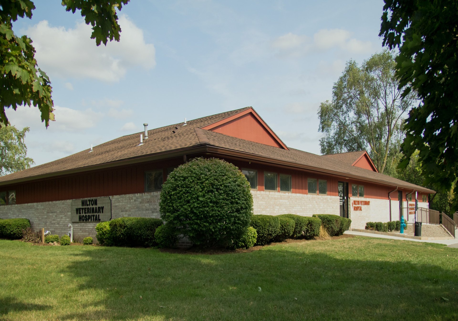 Affordable Veterinary Care Hilton, NY Hilton Veterinary Hospital
