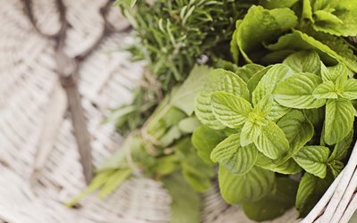 building health naturopathy herbs in basket