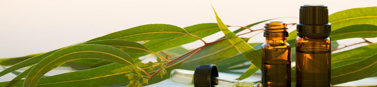 eucalyptus-naturopathy-ballarat