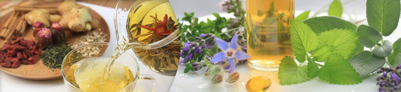 building health naturopathy herbal medicine