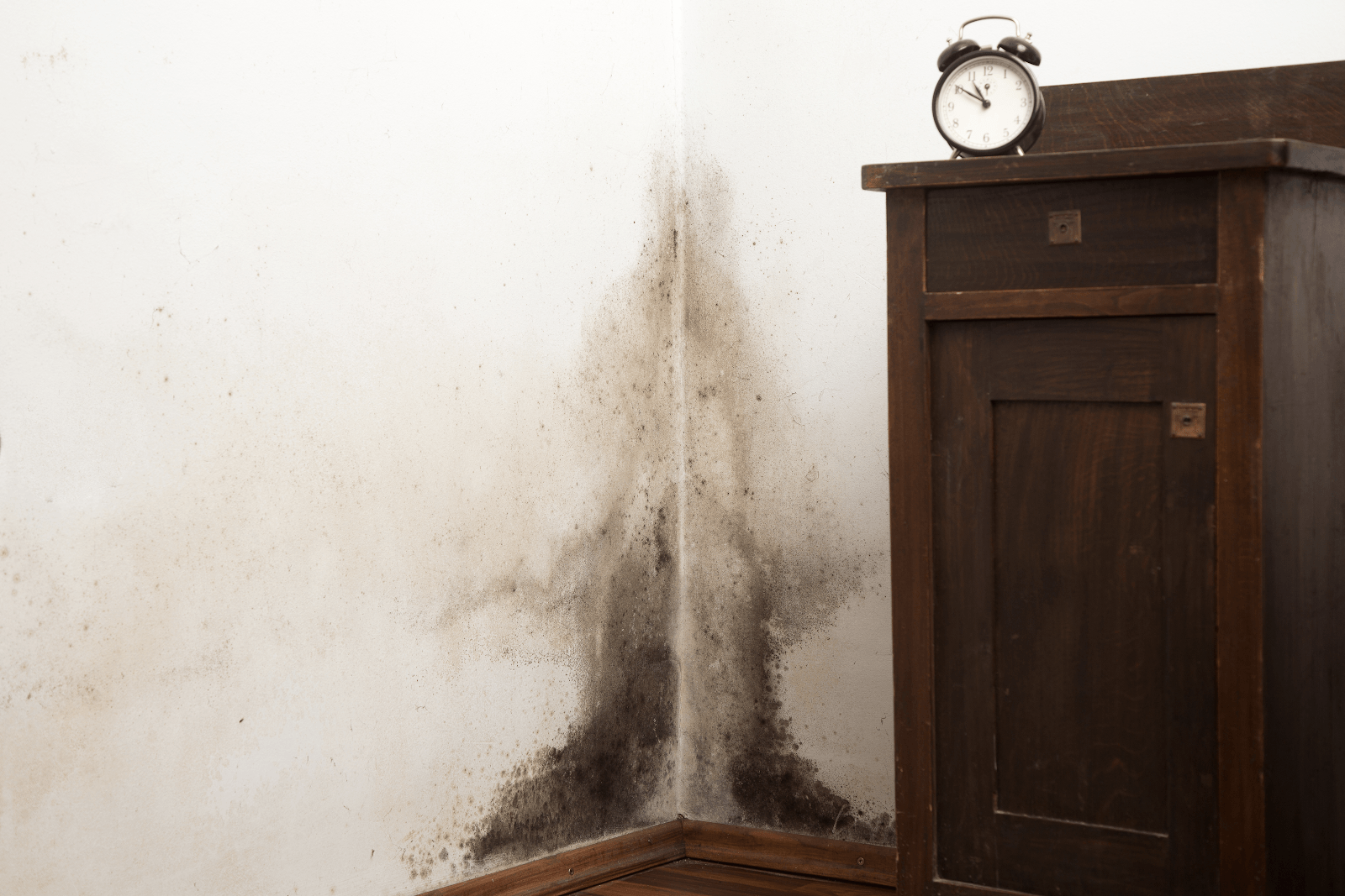 Signs of Hidden Black Mold in Summit