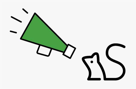 sensis logo with green megaphone