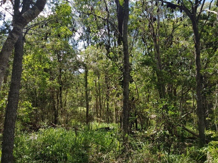 Range Environmental Consultants Toowoomba and Brisbane