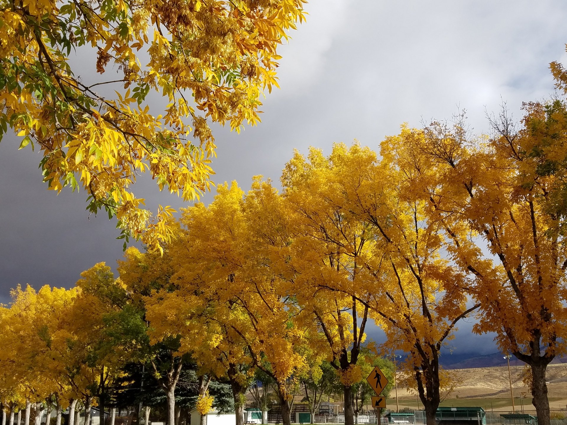 City of McCammon Idaho City Council, Forms, Permits, City Code and