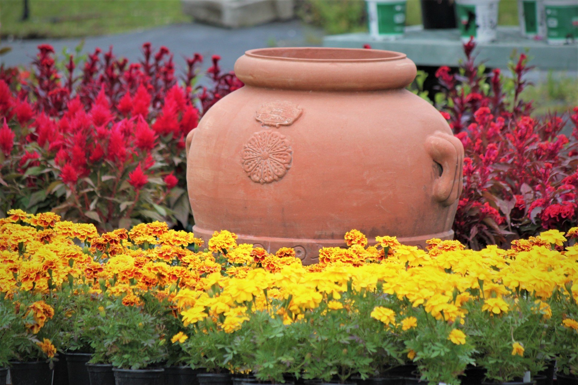 Plant Nursery Savannah, GA Savannah’s Secret Gardens