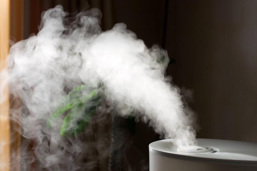 What You Need to Know About Humidifiers and Your Home