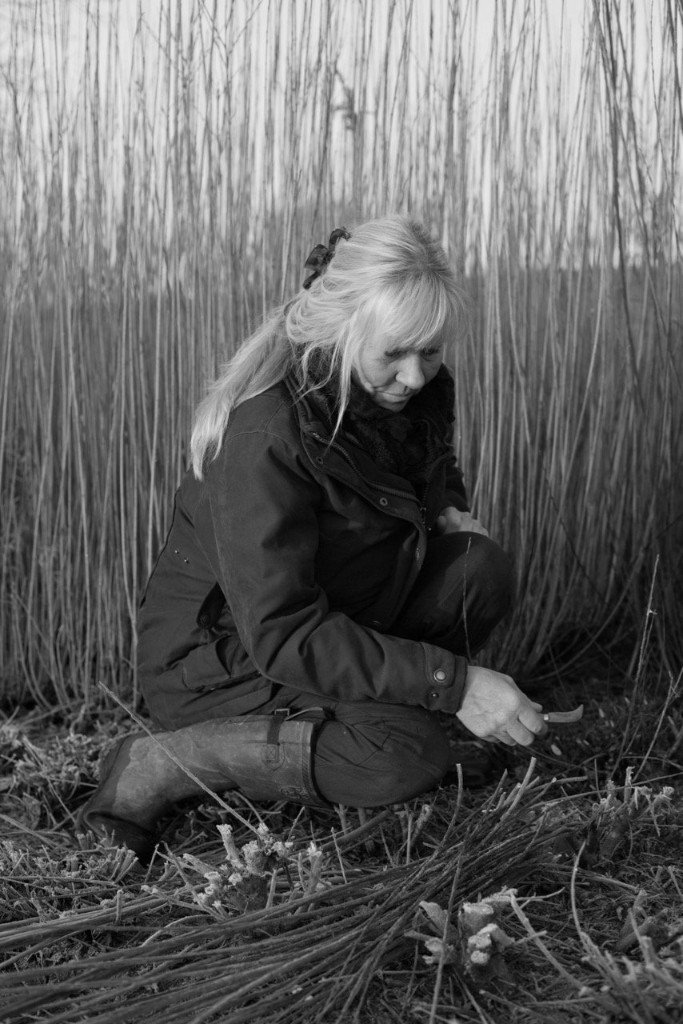 Jenny Crisp Basket Maker & Willow Grower