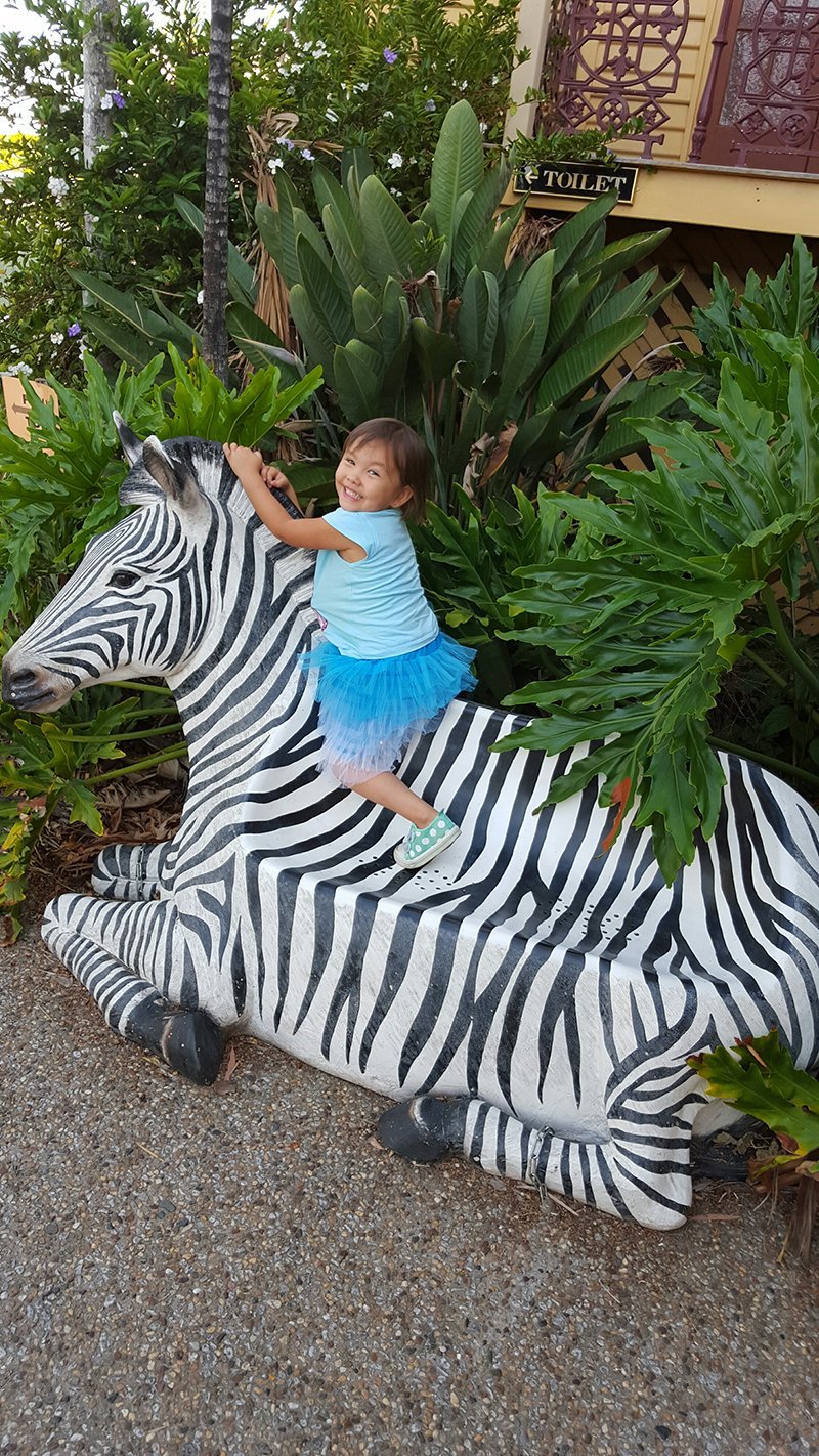 Child on a zebra enjoying in ROCKHAMPTON