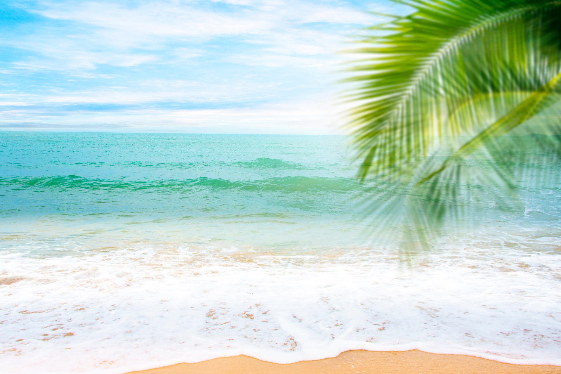 SelfContained Holiday Apartments Alexandra Headland