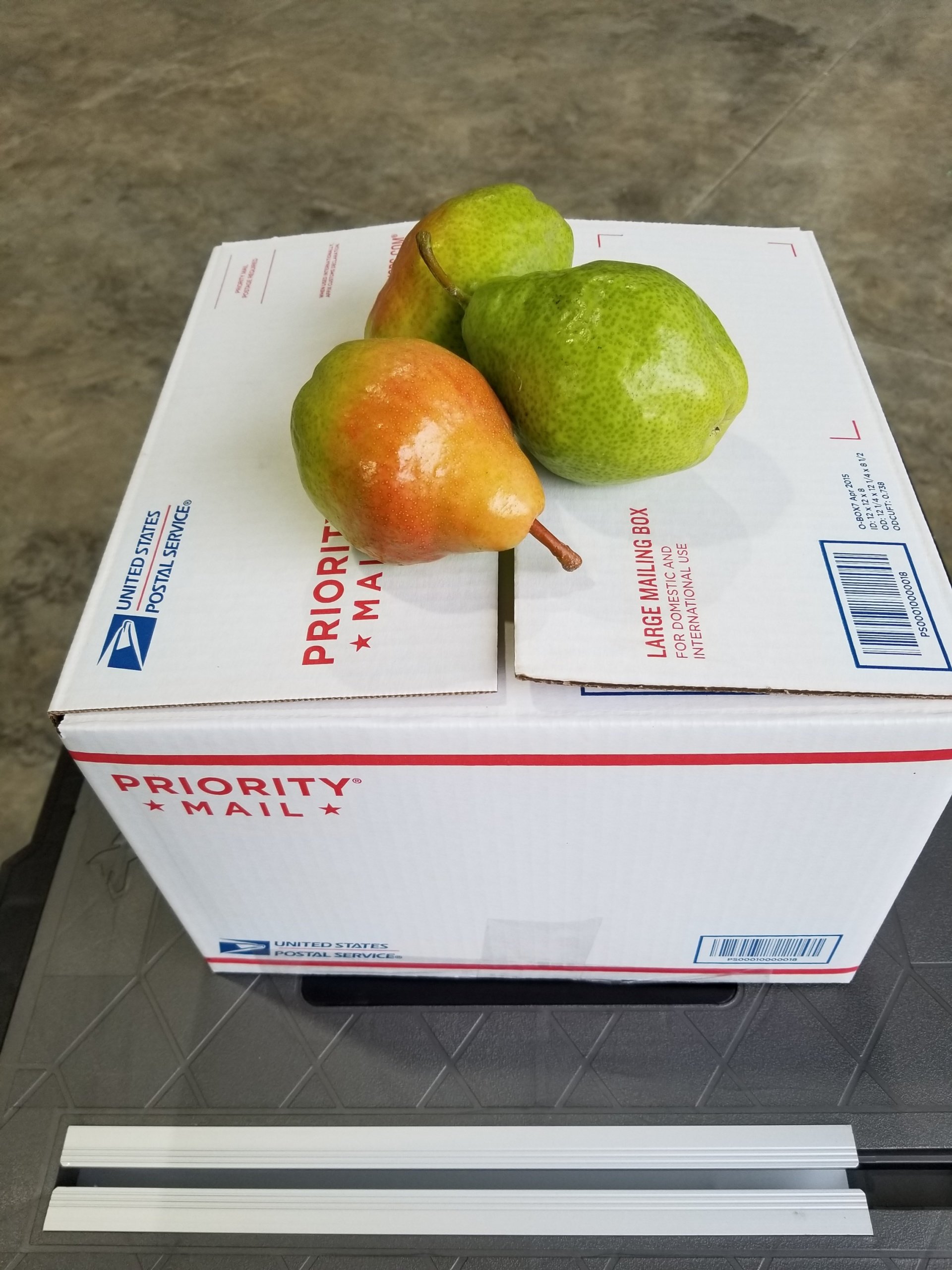 Photo Gallery at Allview Orchards