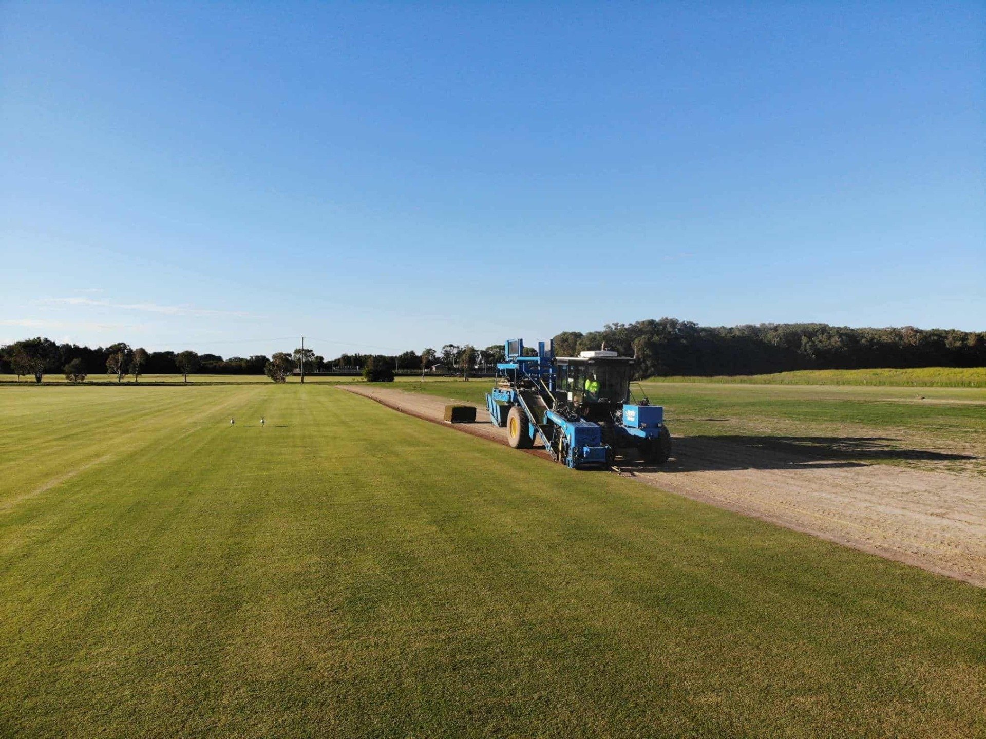 About Ballina Turf Farm