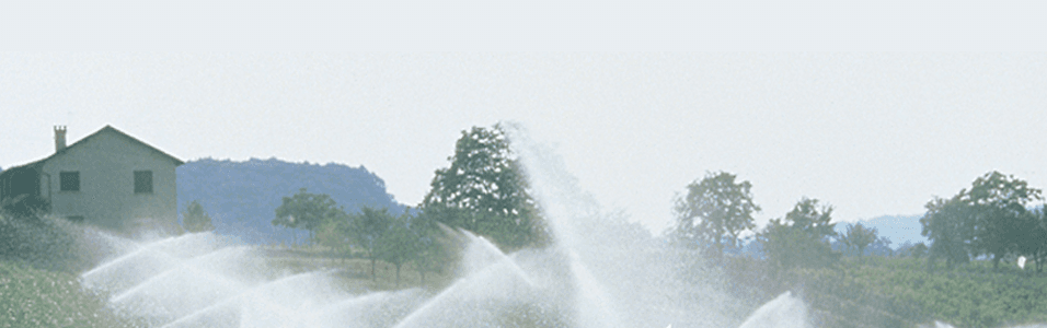 Water systems in Waipapa