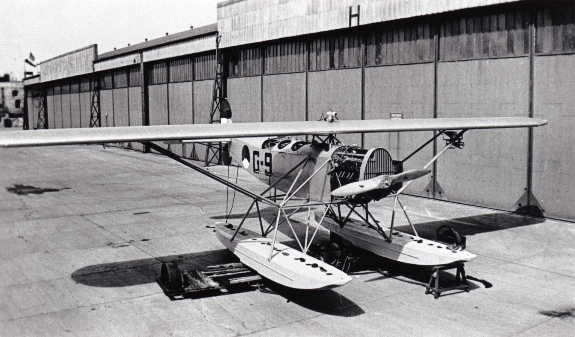 Fokker C.VIII & C.VIII W (English version)