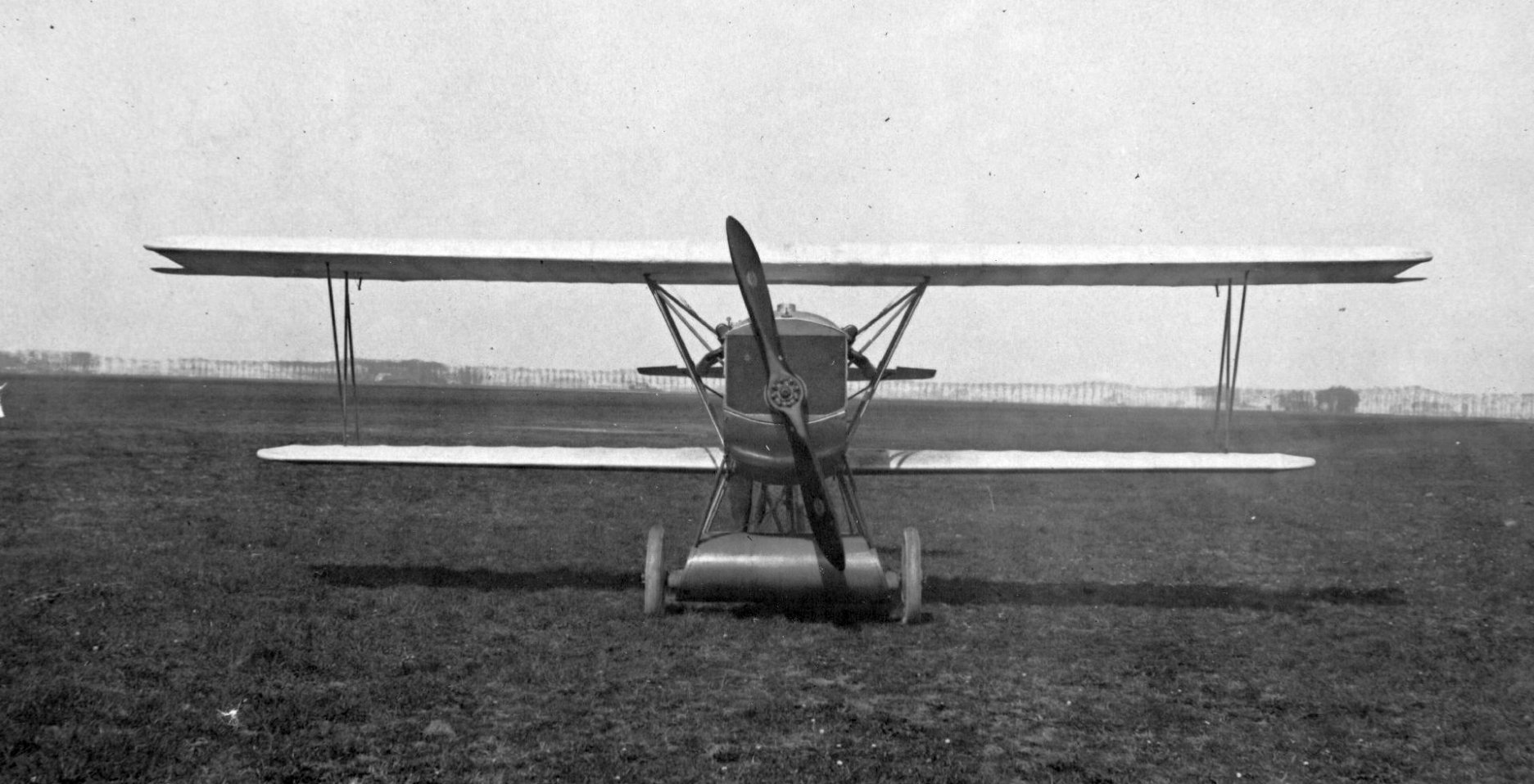 Fokker D.IX (English)