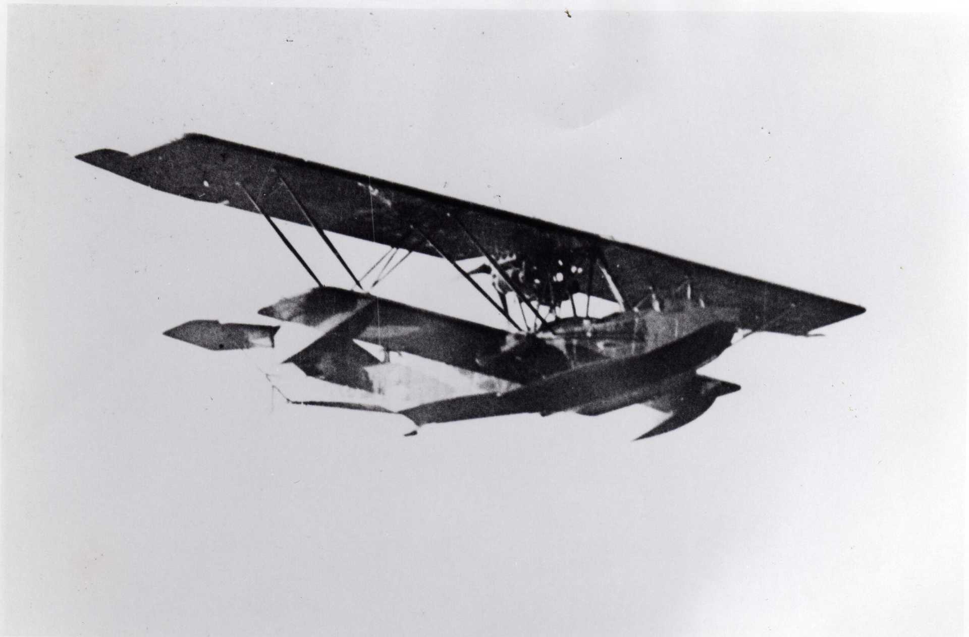 Fokker B.I (English version)