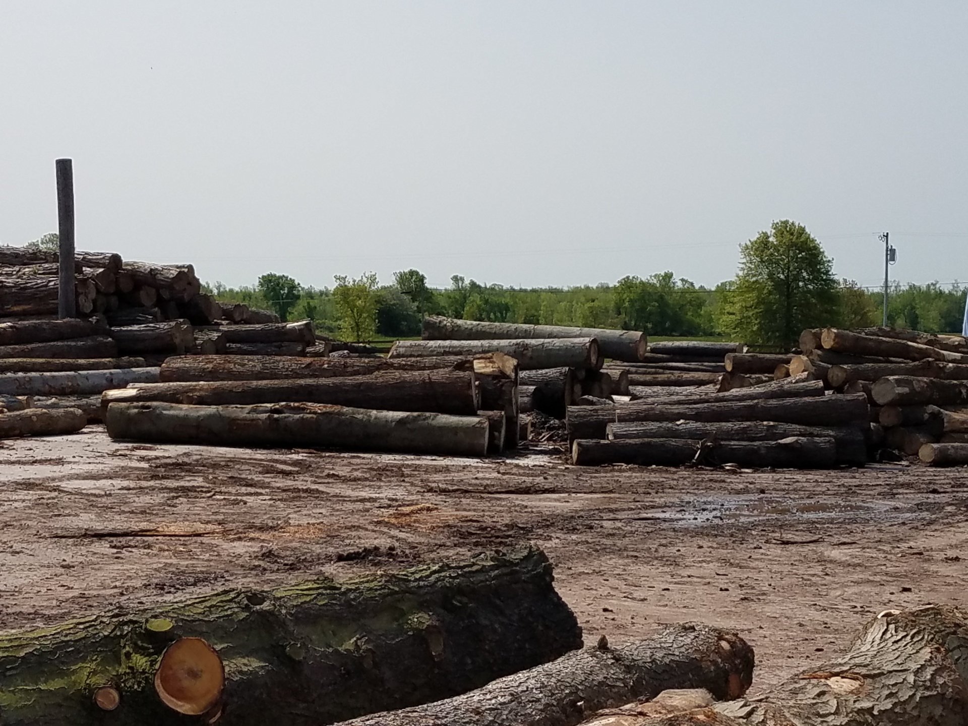 Gallery Cedar Lumber Eastern Red Cedar Fence Boards Buffalo, NY