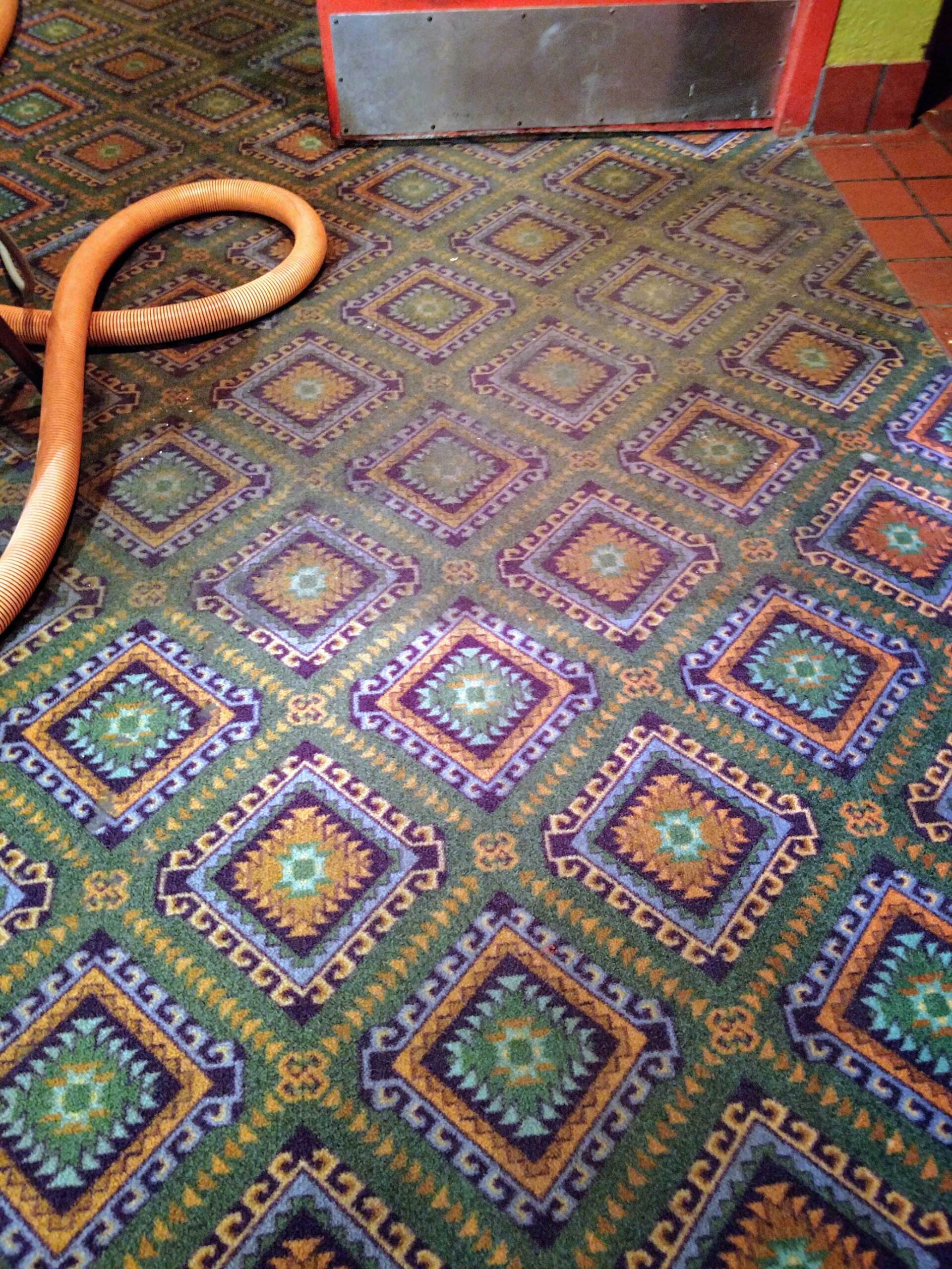 MidMI’s Best Carpet Cleaning St. John’s, MI Clover Carpet Cleaning